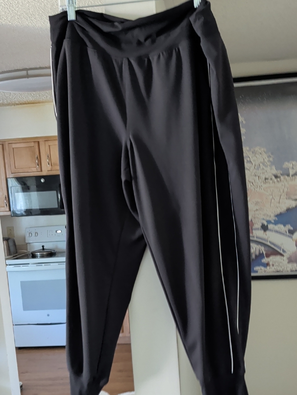 Striped Athleta Venice Joggers!! - Picture 2 of 4